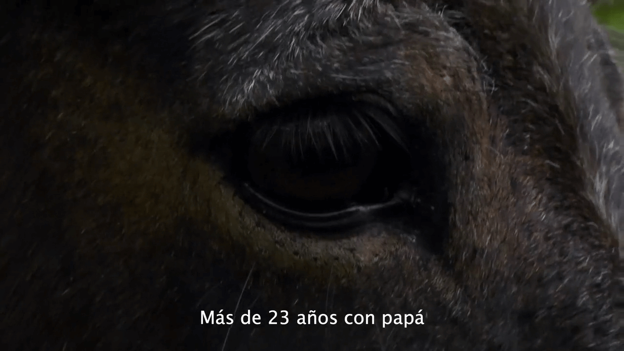 la_recua-720p.00_05_49_09.imagen-fija007